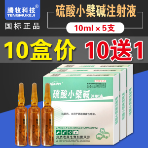兽药硫酸小檗碱注射液兽用小柴碱针剂猪牛羊肠炎羊羔腹泻拉稀止痢