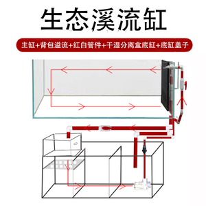 生态溪流缸原生系统背包溢流超白玻璃干湿分离盒金晶兰寿水草定制