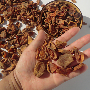 甘肃土特产张掖特产纯天然杏干21年新干货果肉脯零食杏皮500g包邮