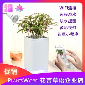 新品自动吸水远程浇水智能养花原创懒人神器北欧简约小米风花盆