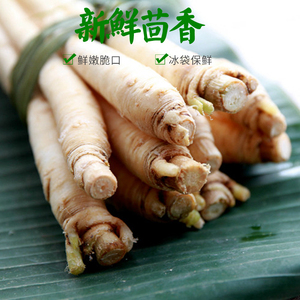 云南特产蔬菜新鲜野菜茴香根小茴香根煲汤食材食用根500g