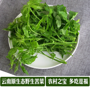 云南傣味特色菜新鲜刺五加  葑撒苤苦凉菜簕菜刺白刺尖三加500g