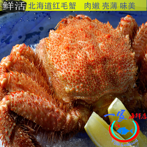 日式料理鲜活红毛蟹日本北海道深海红毛蟹海鲜粥锅底优选450-500g