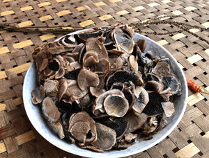 广东新鲜冰冻野生菌野生灰包菌马屁包马勃菇马勃菌姜疙瘩非松露