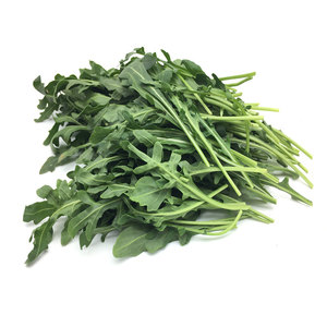 新鲜蔬菜芝麻菜500g 芝麻叶菜 火箭菜 可生吃沙拉菜配菜 西餐生菜