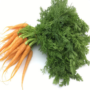 新鲜手指胡萝卜500g新鲜蔬菜迷你小胡萝卜带叶手指萝卜沙拉食材