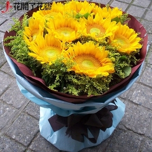 潍坊市开发区诸城市寿光市同城鲜花店速递同城送花向日葵11朵崇阳