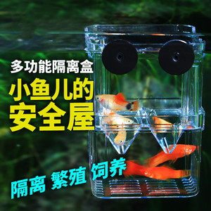 鱼缸繁殖隔离盒 保护小鱼下崽热带鱼产房孵化盒 孔雀鱼小型悬浮式