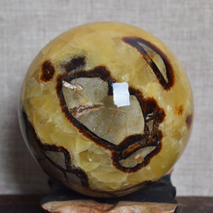 天然马达加斯加龟背石原石把玩球摆件 长寿石龟纹好运灵石奇石