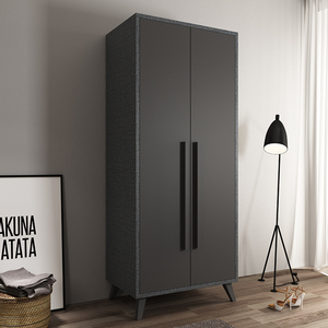 北欧家用卧室双开门衣柜现代简约2两门衣橱出租房公寓小户型柜子