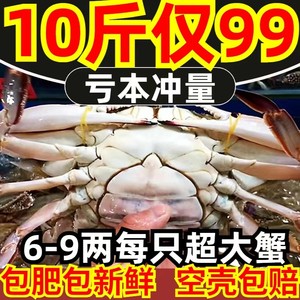 梭子蟹新鲜超大特大母蟹公蟹海螃蟹红膏蟹冷冻白蟹飞蟹海鲜水产