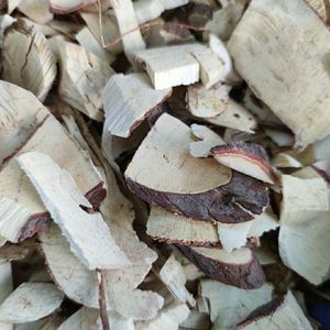 突出增生, 山竹根 公山竹 莽吉柿 干货 500克