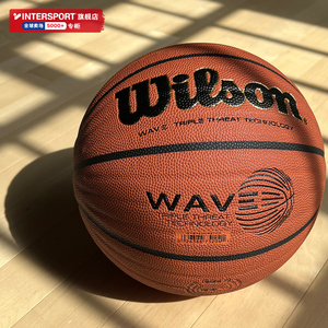Wilson威尔胜专业篮球官方正品旗舰儿童波浪纹7号蓝球威尔逊礼物