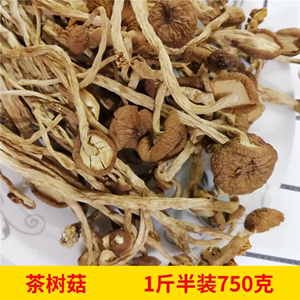 茶树菇750g农家种植特产无硫树菇不开伞不开膜新鲜茶树菇干货包邮