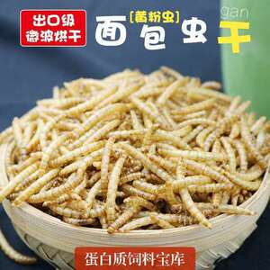 仓鼠粮食面包虫干黄粉虫八哥鹩哥零食刺猬饲料龙鱼乌龟鸟粮龟粮