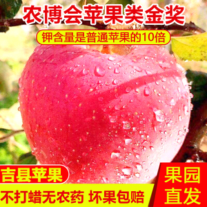 同城农产品红富士苹果山西壶口洛川新鲜现摘糖心8月水果整箱包邮