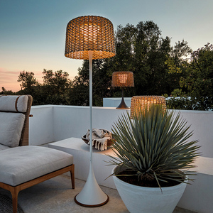 户外庭院灯露台花园藤艺落地灯太阳能草坪灯别墅园林防水氛围灯