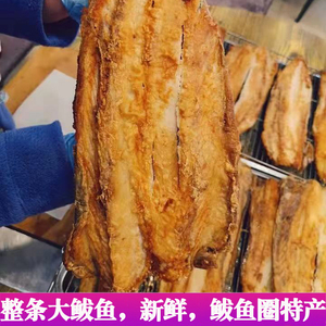 香煎大鲅鱼鲅鱼圈特产即食零食烤鱼海鲜熟食即食零食真空包装