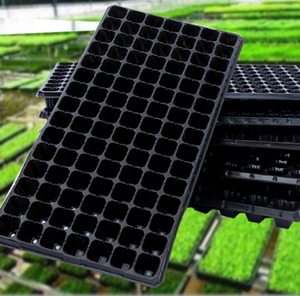 辣椒籽播种器育苗