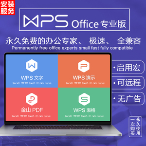 wps2019专业正版软件激活码远程安装服务excel办公自带vba宏插件