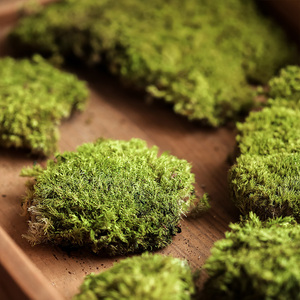 珊瑚草干草造景道具装饰品商业场景布置公司进门大厅地上装扮商场