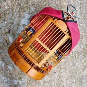 画眉鸟笼川笼全套贵州