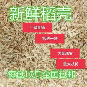 新鲜稻壳谷壳皮稻糠可用酿酒熏肉枕头填充介质植物肥料鸡鸭窝垫料