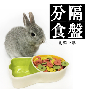 alice艾尼斯粒粒分隔碗 胡萝卜形状 兔子食盆 粮碗 小宠食盆大号