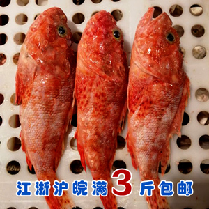 东海野生海鲜头