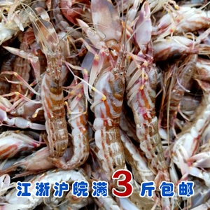 石浦海鲜  小船货新鲜拉水虾鼓虾小花虾嘎嘣虾  鲜嫩可口下酒神器