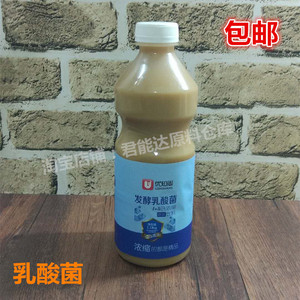 优知尚发酵乳酸菌浓缩益生菌原味酸奶甜品奶茶店原料饮品1.1kg