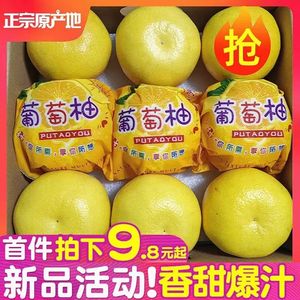 爆汁黄金葡萄柚福建平和柚子水果台湾西柚整箱当季超甜薄皮