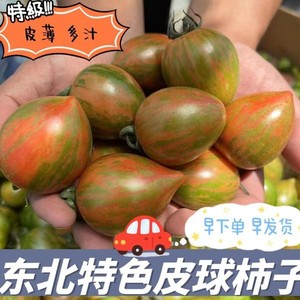 东北柿子农家特产花红皮球柿子小园蔬菜水果小番茄爆甜酸脆柿子