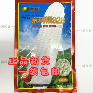 北京华奥农科玉 京科糯928 白玉米种子 白甜糯 甜加糯 正品 新货