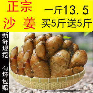 鲜沙姜