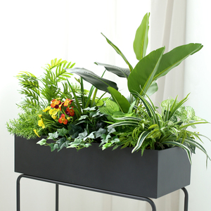 花卉植物室内花仿真