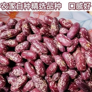 花豆贵州特产豆米 新花豆 红豆米 芸豆花豆子新四季豆米干货10斤