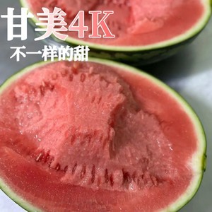 新鲜甘美4K整个大果10斤站神西瓜爆甜薄皮肉厚无籽麒麟瓜时令水果