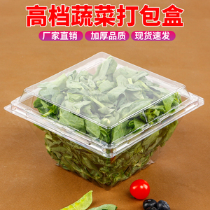 高档一次性蔬菜沙拉打包盒豆类净菜水果包装盒透明塑料生菜长方形