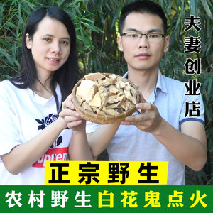 深山野生白花鬼点火灯笼500g克广东客家凉茶农家采摘性寒微苦包邮