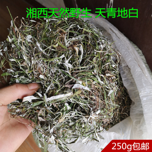 湘西纯野生天青地白草药天然翻白菜小毛药上青下白中药材干品包邮
