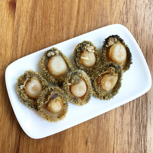 精选干鲍鱼 50头南非鲍鱼仔 小鲍鱼干货 佛跳墙盘菜材料10只/100g