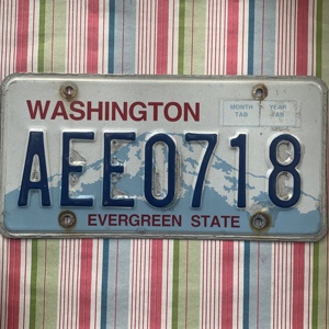 美国车牌washingtonwa华盛顿州aee0718国外国牌照牧马人复古道具