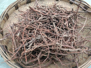 黄脚鸡药材