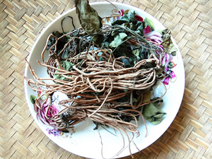 贵州中药材苕叶细辛 草药大叶马蹄香马蹄细辛盘山草山薯 500g包邮