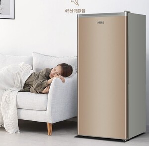 嘉佰电器淘宝澳柯玛冰柜冷冻柜家用商用立式小型极速急冻雪糕微型
