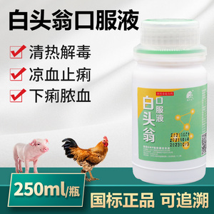 千方动保兽用白头翁口服液鸡鸭鹅猪牛羊拉稀清热解毒中药正品兽药