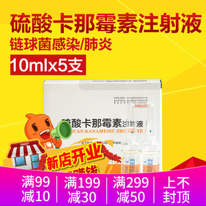 卡那霉素注射液