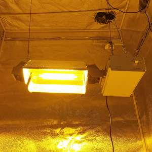 植物生长灯hps 1000w高压钠灯金卤灯室内大棚水培系统补光灯