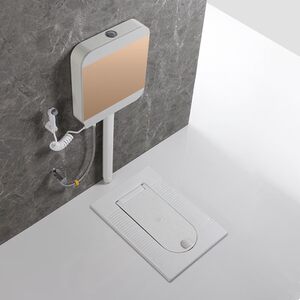 带盖蹲便器防臭